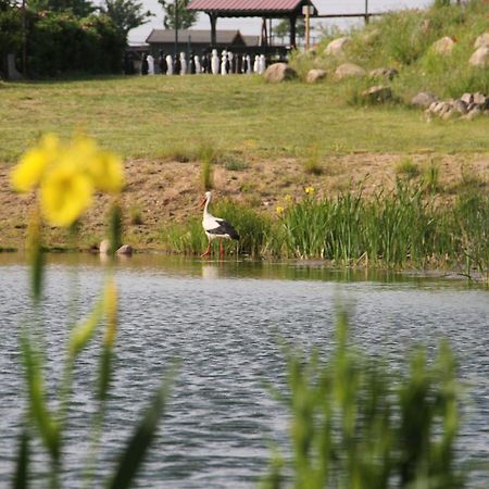 Kur-& Landhotel Borstel - Treff Dabel Экстерьер фото